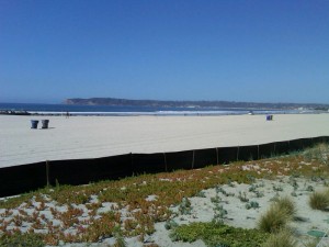 340B Conference Beach View
