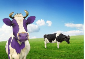 340B Purple Cow - Be Different